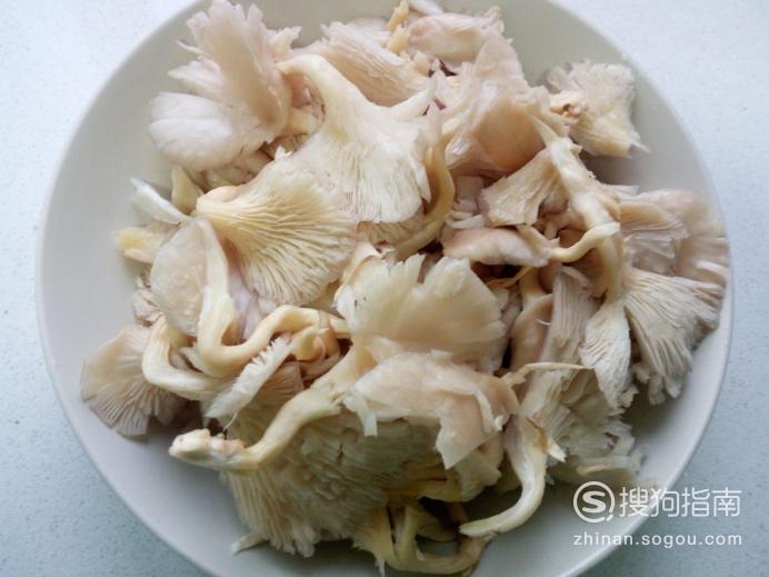 杏梅 做法:揭秘宠物护理人员的温馨日常